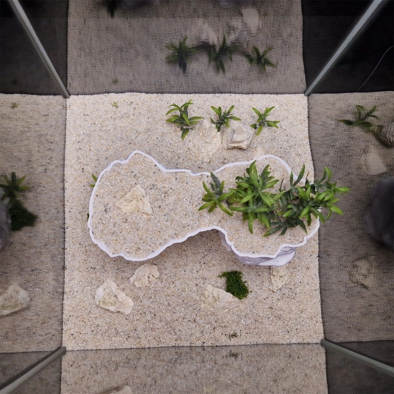 Aquarium 3D Printed Planting B - Aquarium Planted Tank Soil 评论和价格
