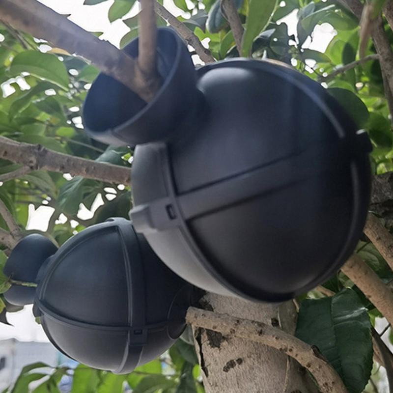 Propagation Ball Air Layering  - Aquasoil Substrate 评论和价格
