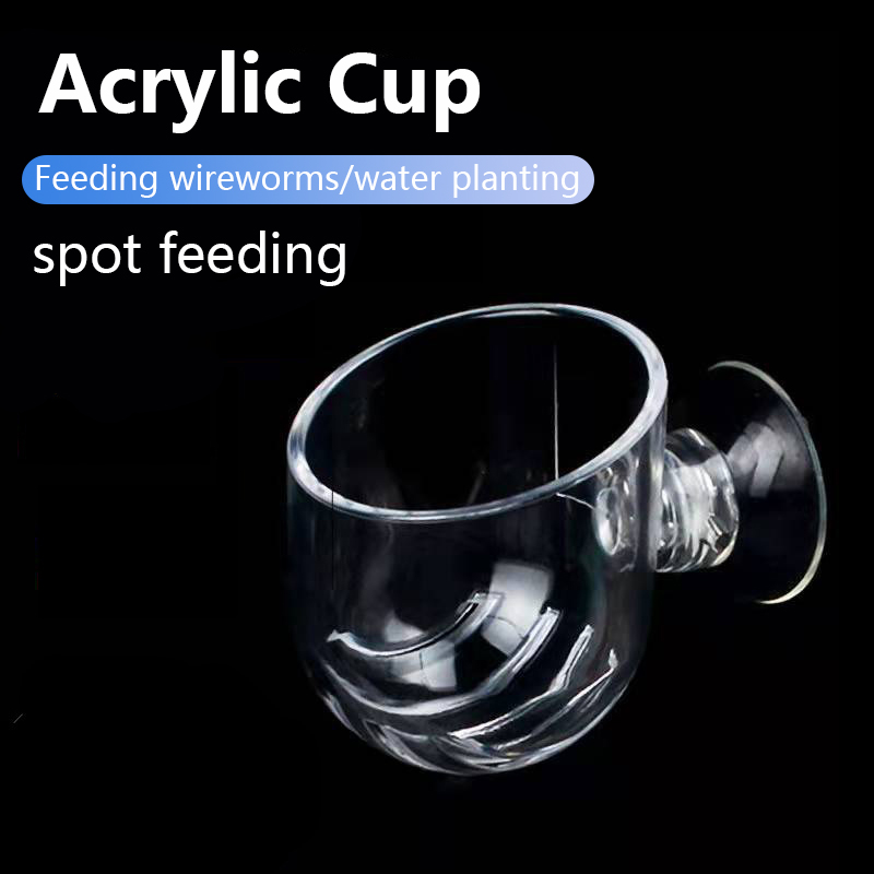 Aquarium Decoration Plant Cup  - Planted Aquarium Products 评论和价格