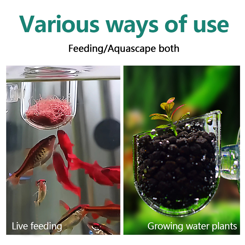 Aquarium Decoration Plant Cup  - Planted Aquarium Products 评论和价格