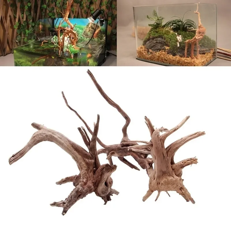 Natural Tree Trunk Driftwood A - Aquarium Planted Tree 评论和价格