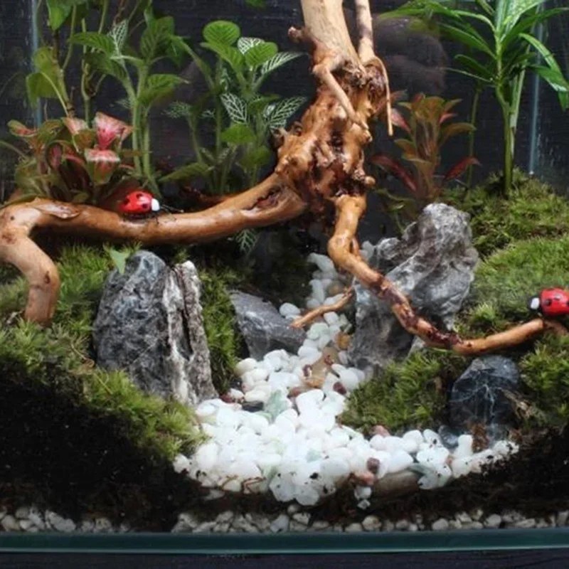 Natural Tree Trunk Driftwood A - Aquarium Planted Tree 评论和价格