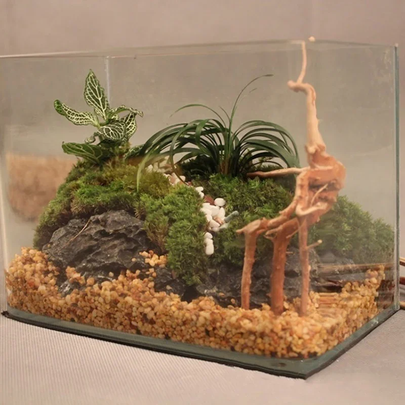 Natural Tree Trunk Driftwood A - Aquarium Planted Tree 评论和价格