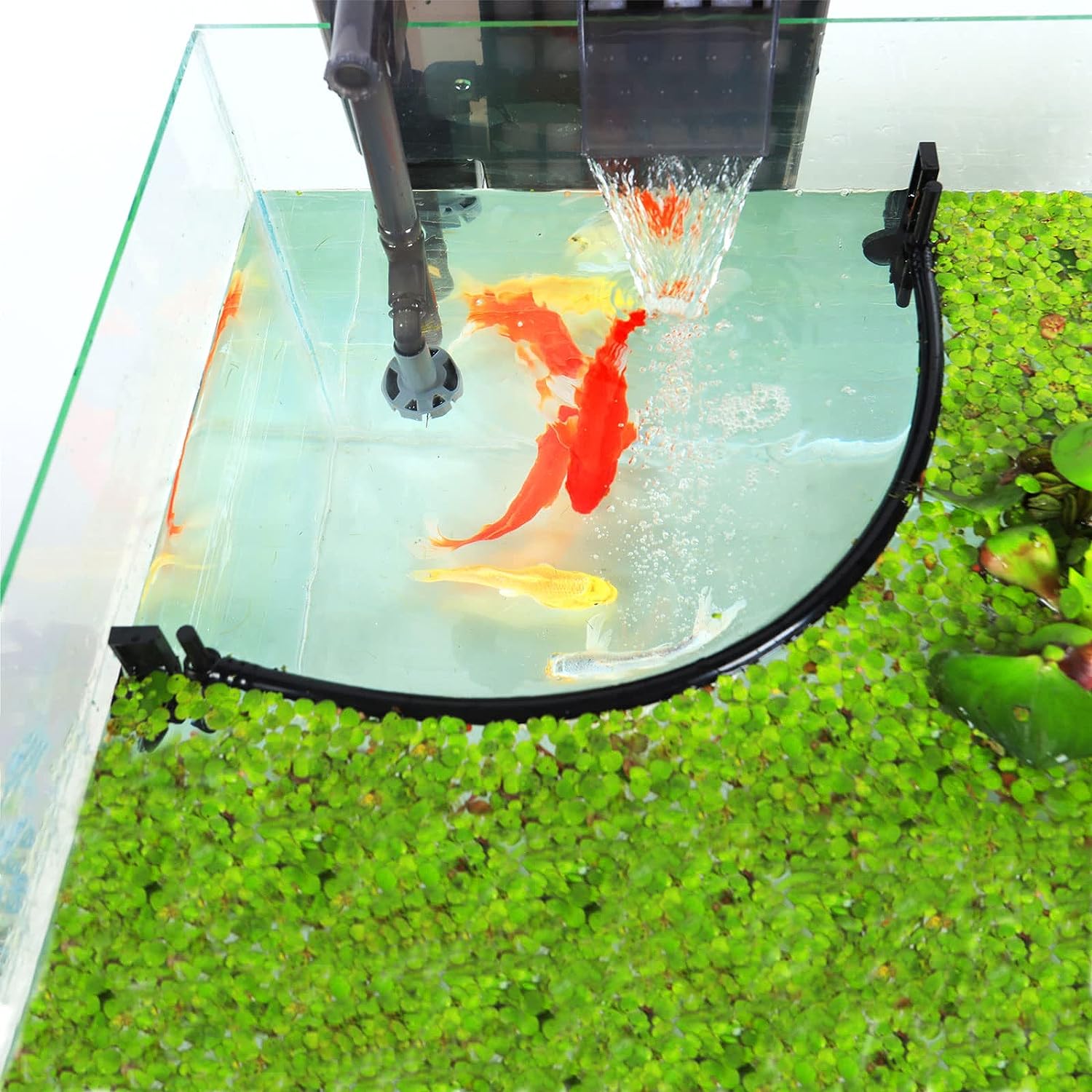 Aquarium Floating Plant Corral - Planted Aquarium Heater 评论和价格