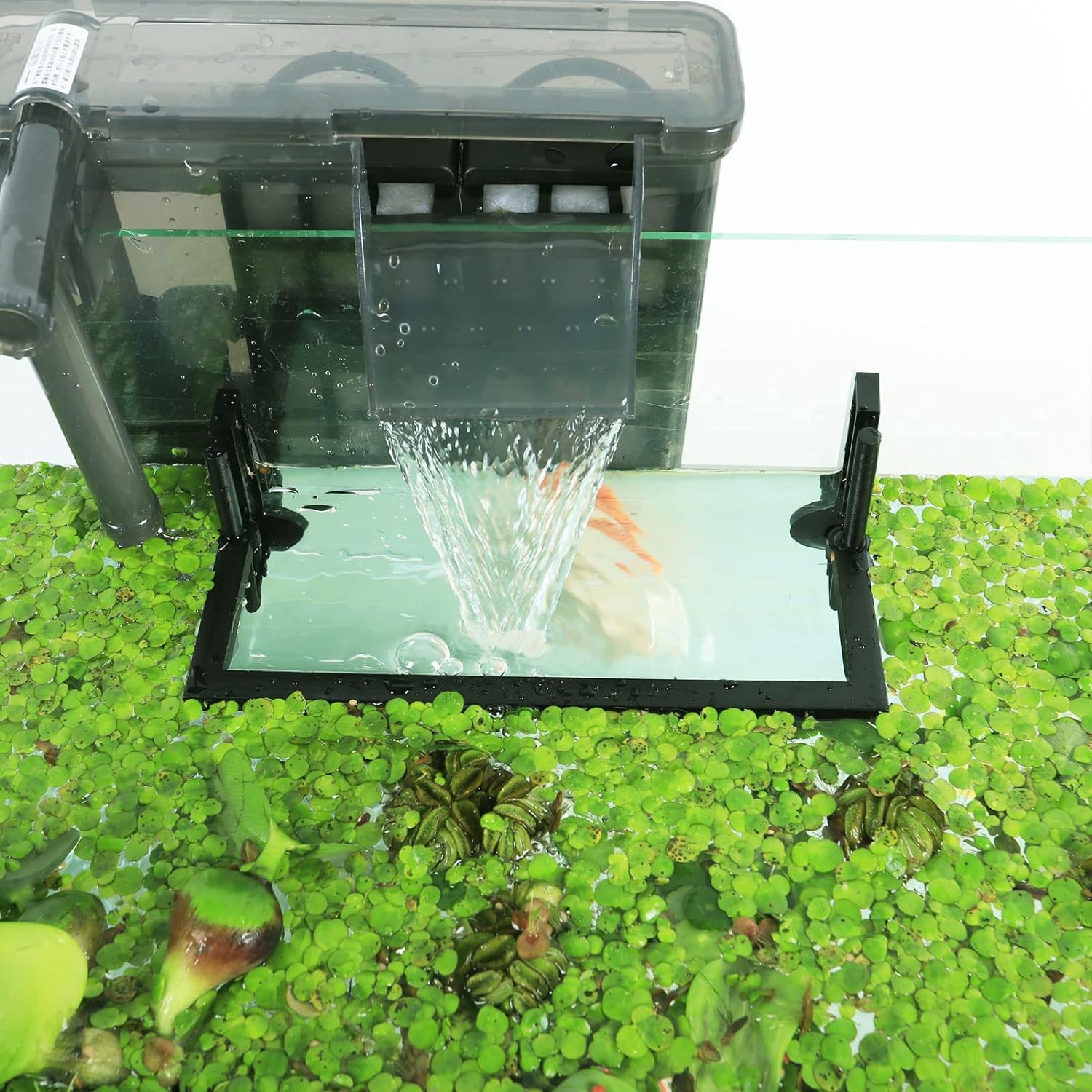Aquarium Floating Plant Corral - Planted Aquarium Heater 评论和价格