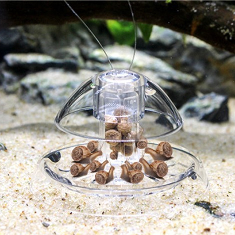 1PCS Fish Tank Aquarium Cleane - Planted Aquarium Products 评论和价格