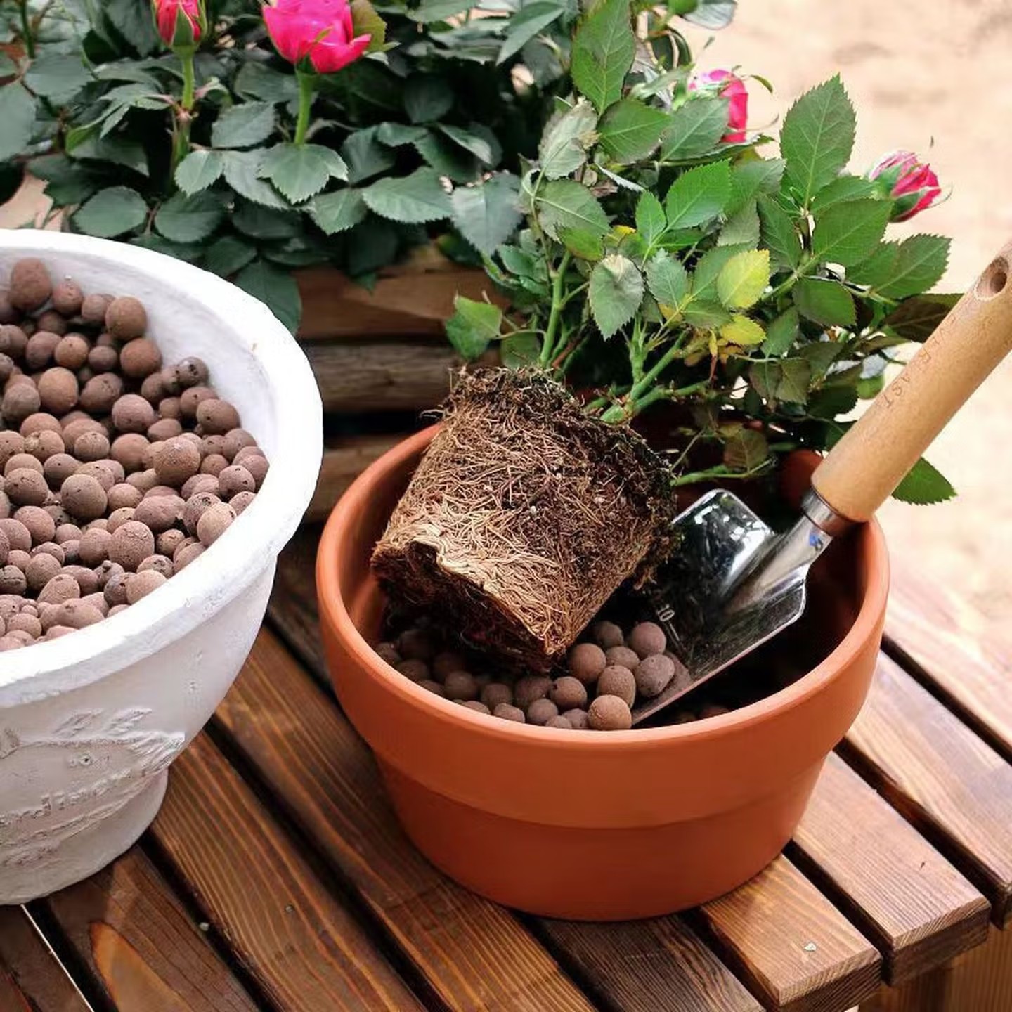 100-500g Reusable Hydroponic C - Aquasoil Substrate 评论和价格