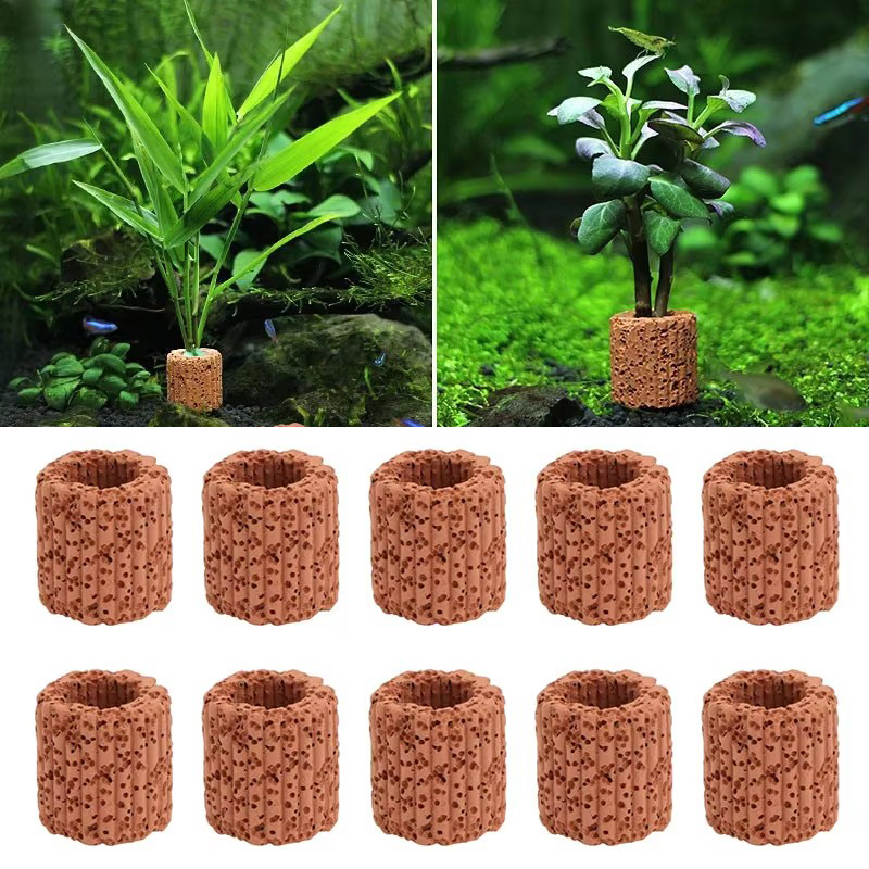 Aquatic Plant Fixed Ring for A - Planted Aquarium Products 评论和价格