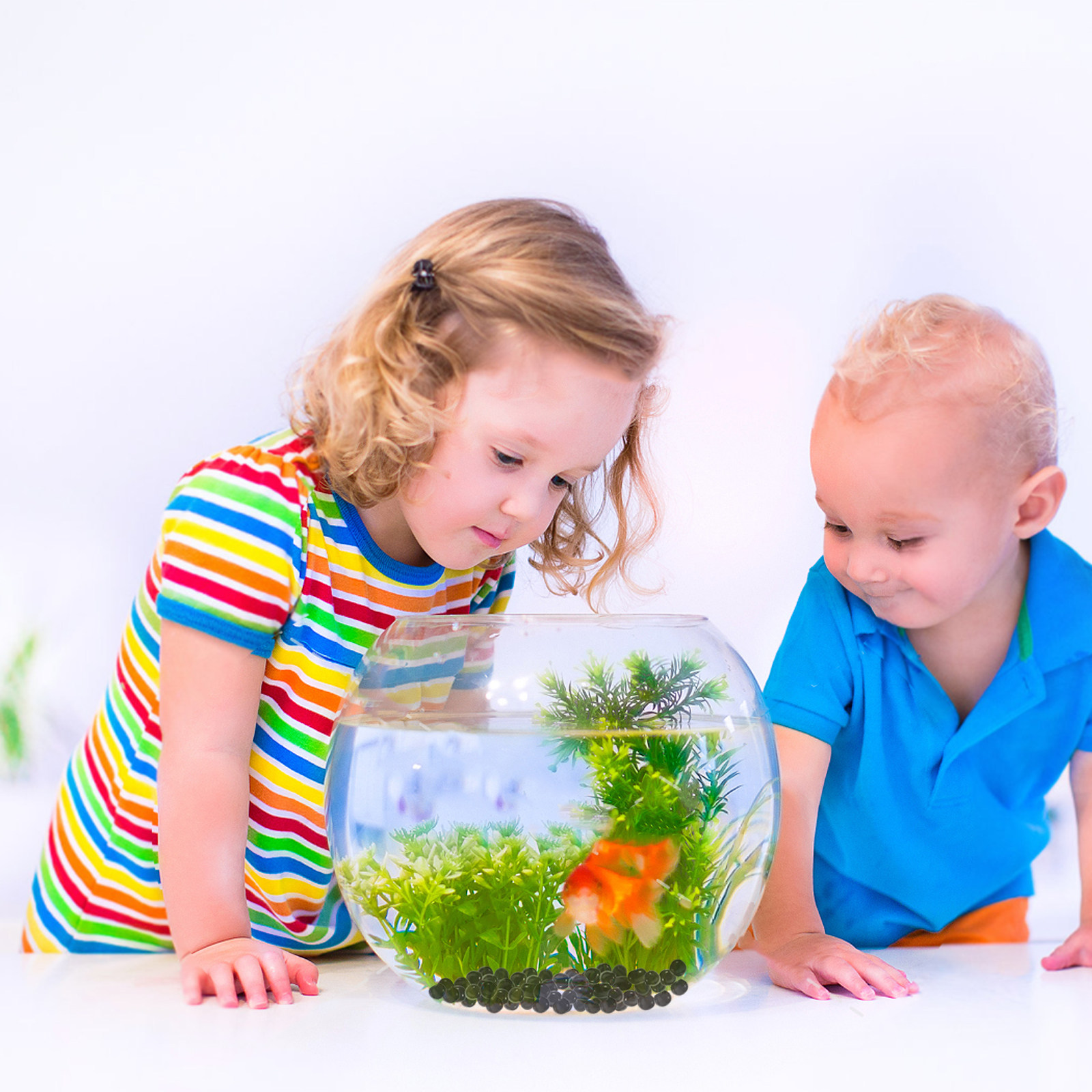 1Pack Aquarium Glass Beads Bla - Aquarium Planted Tank Soil 评论和价格