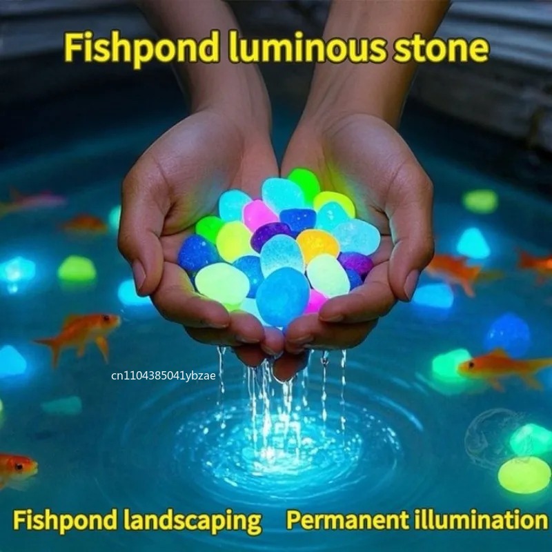 100-800pcs Glow in The Dark Pe - Aquarium Planted 评论和价格