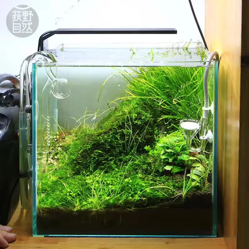 Chihiros C Series ADA Style Pl - Aquarium Plant Growth Light 评论和价格