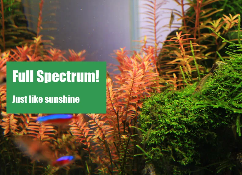 Chihiros C Series ADA Style Pl - Aquarium Plant Growth Light 评论和价格