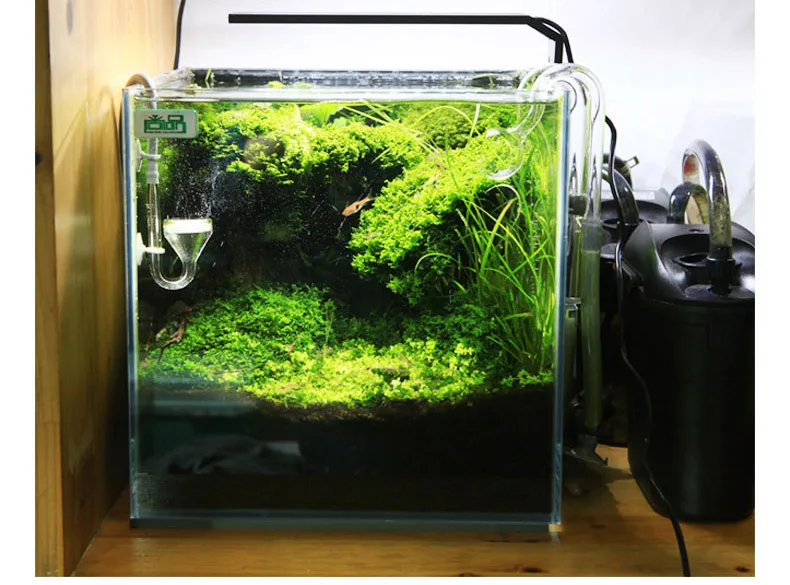 Chihiros C Series ADA Style Pl - Aquarium Plant Growth Light 评论和价格