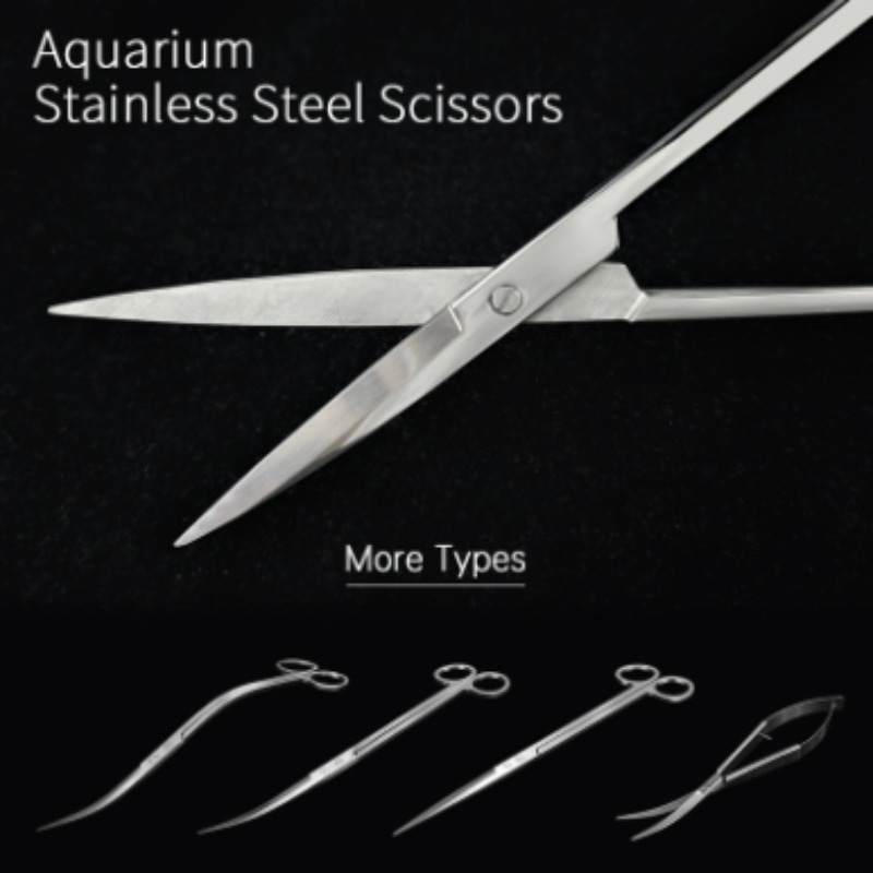 Week Aqua Stainless Steel Aqua - Planted Aquarium Products 评论和价格