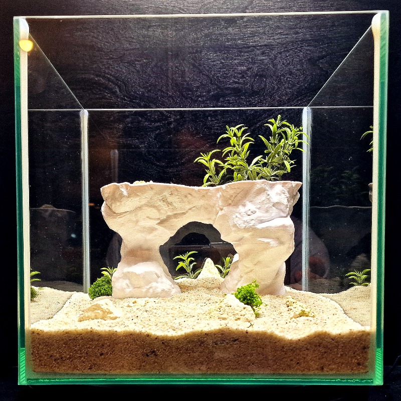 3D Printed Aquarium Planting B - Aquarium Planted Tank Soil 评论和价格