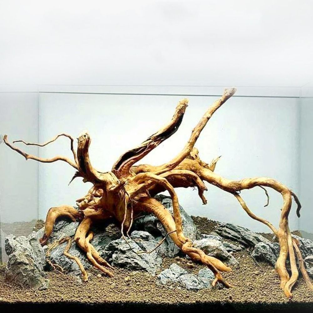 Natural Tree Trunk Aquarium De - Aquarium Planted Tree 评论和价格