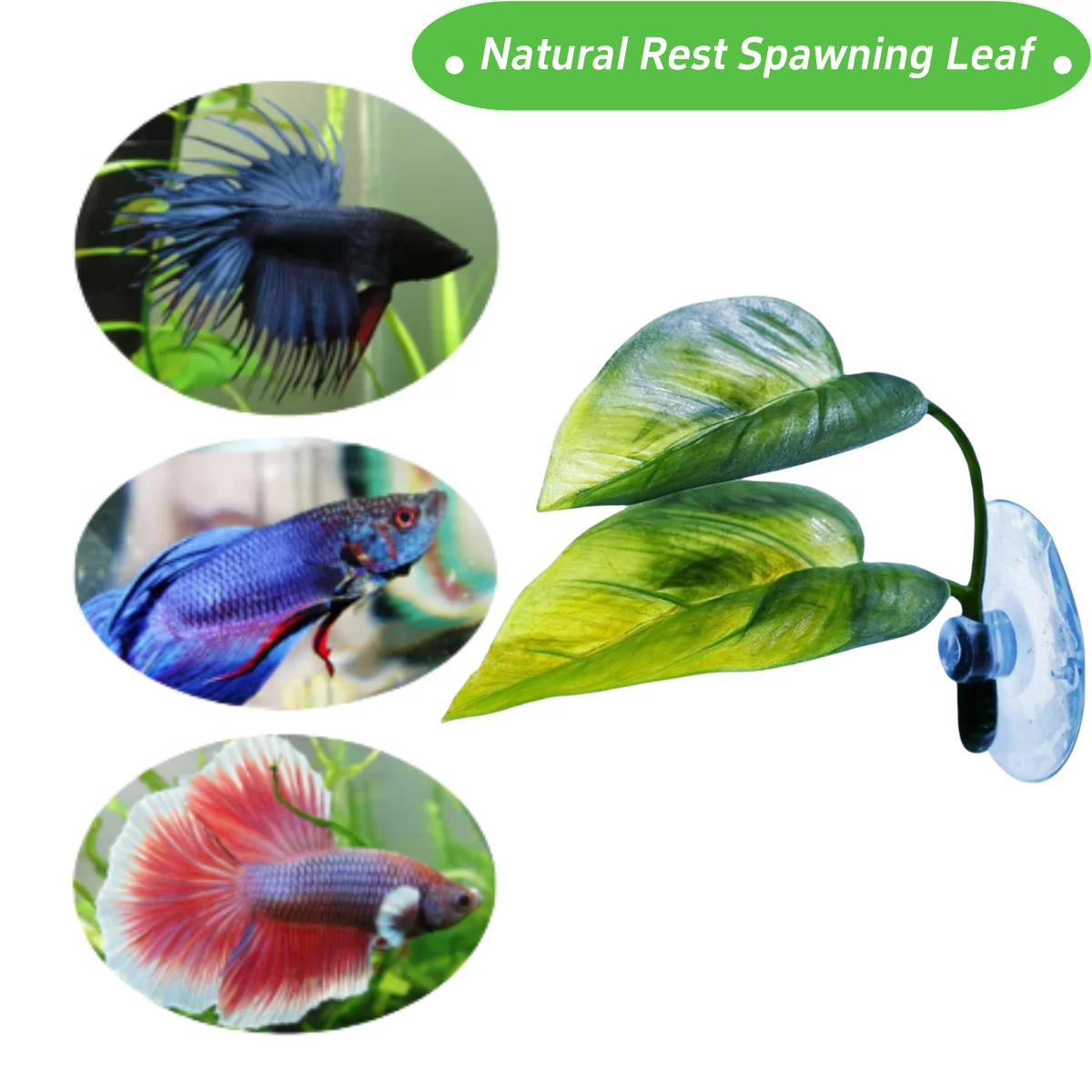 Pets Fish Tank Decor Betta Rel - Aquarium Planted Tree 评论和价格