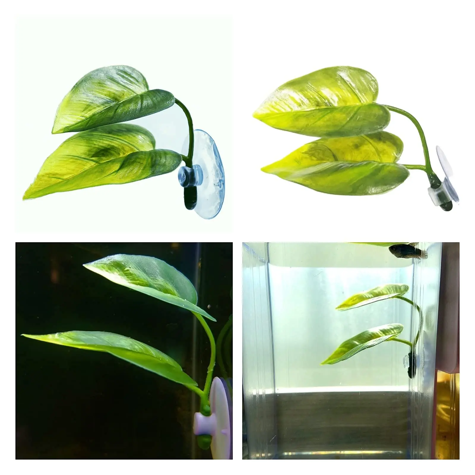 Pets Fish Tank Decor Betta Rel - Aquarium Planted Tree 评论和价格