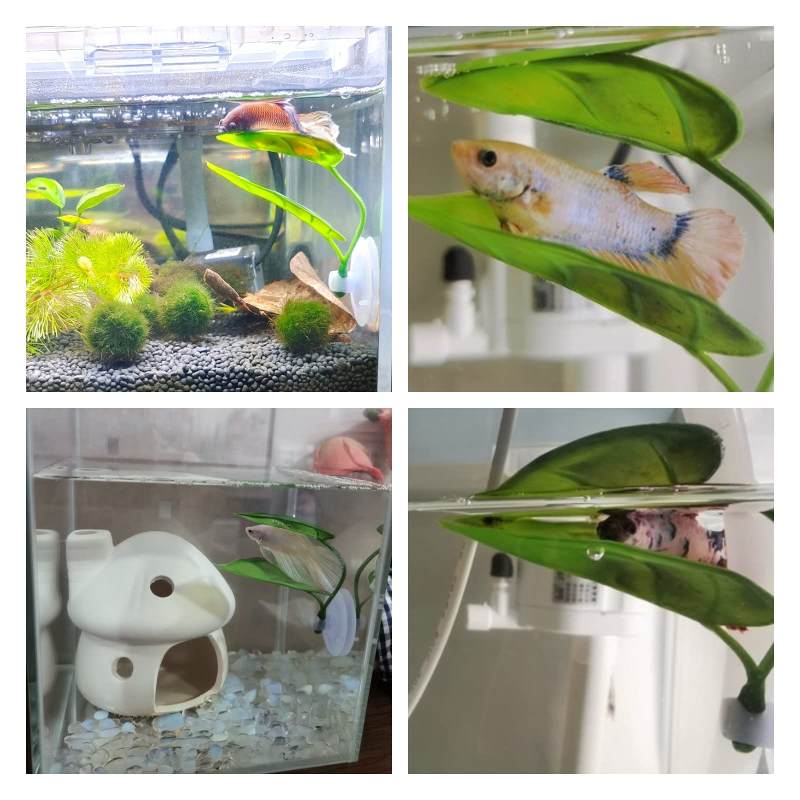 Pets Fish Tank Decor Betta Rel - Aquarium Planted Tree 评论和价格
