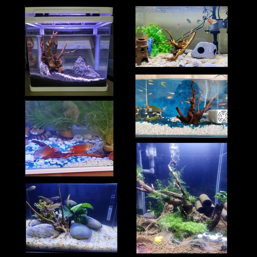 20-25CM Large Aquarium Driftwo - Aquarium Planted Tree 评论和价格
