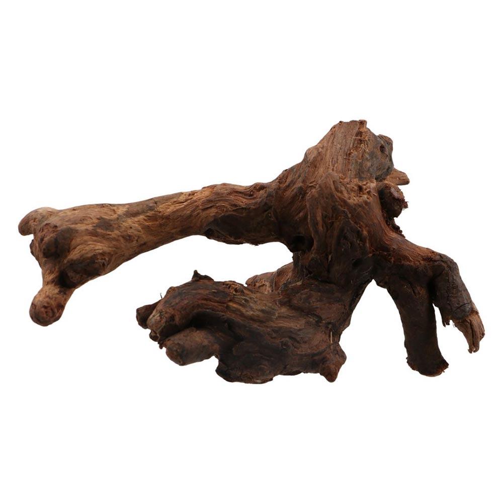 Creative Irregular Shape Coral - Aquarium Planted Tree 评论和价格