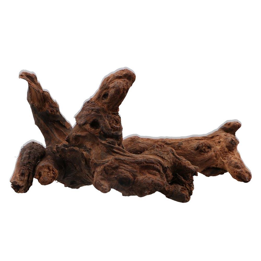 Creative Irregular Shape Coral - Aquarium Planted Tree 评论和价格