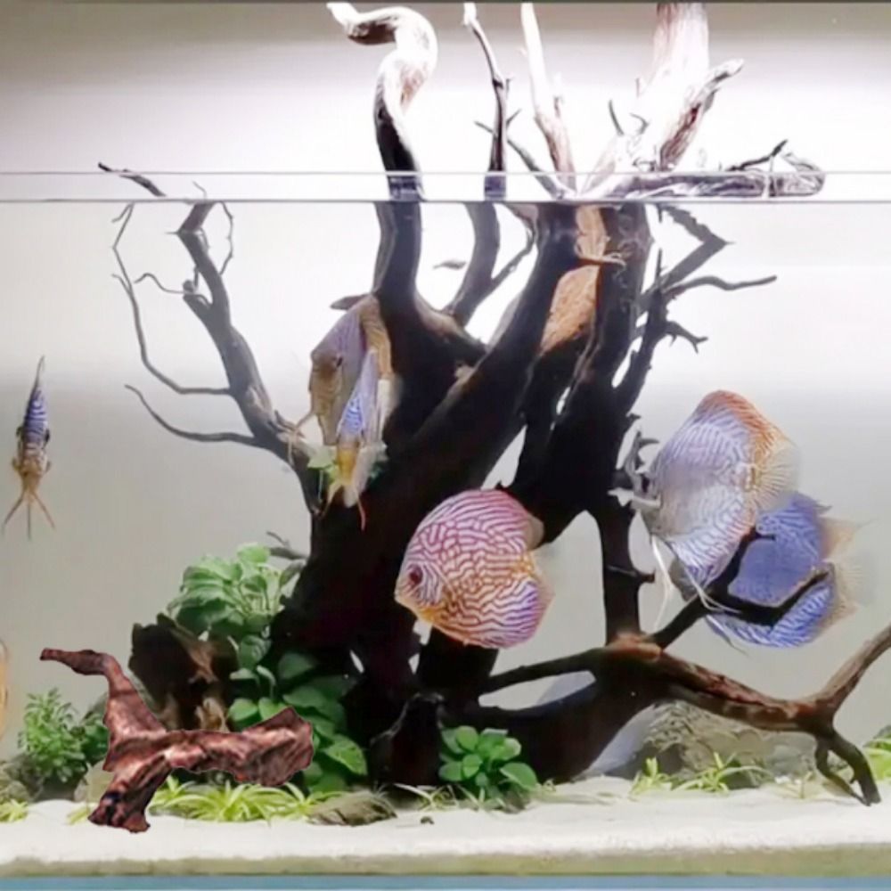 Creative Irregular Shape Coral - Aquarium Planted Tree 评论和价格
