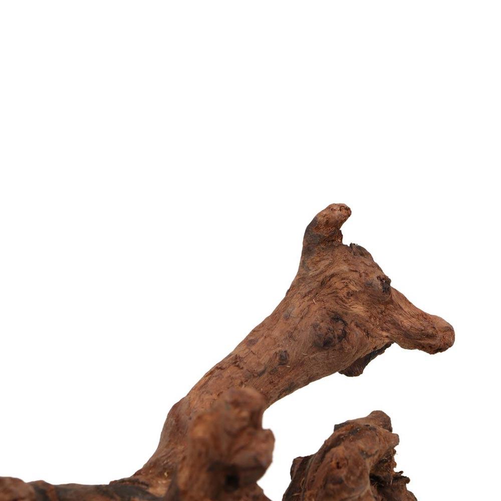 Creative Irregular Shape Coral - Aquarium Planted Tree 评论和价格