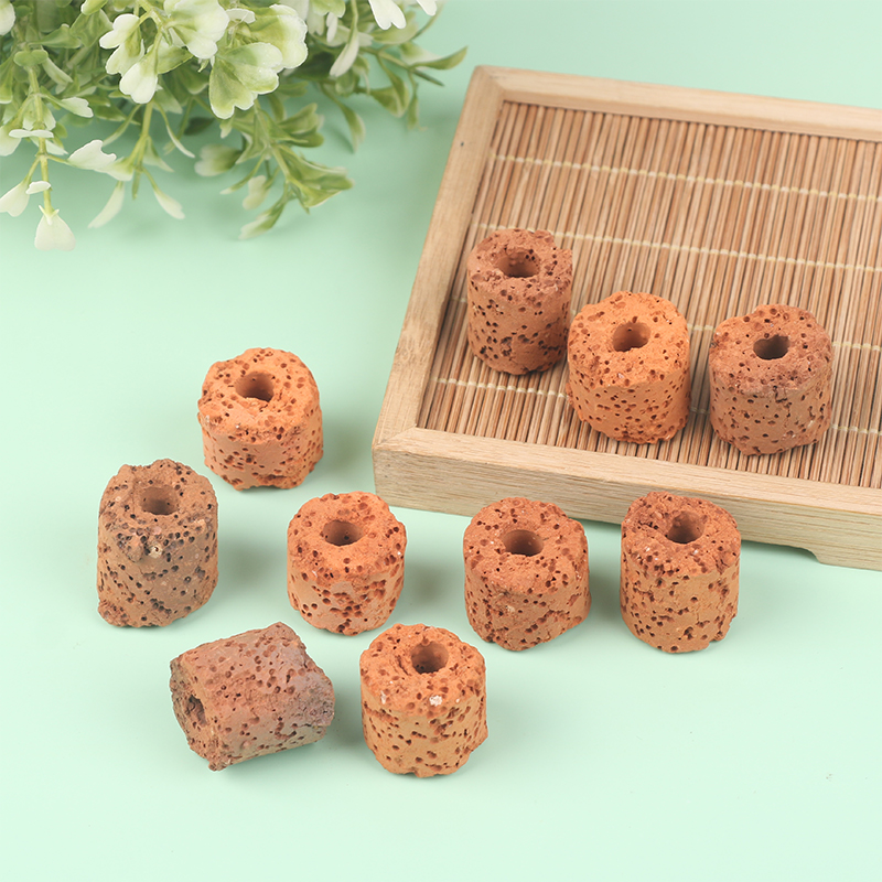 ^10Pcs Plant Ring Aquarium Fix - Planted Aquarium Products 评论和价格