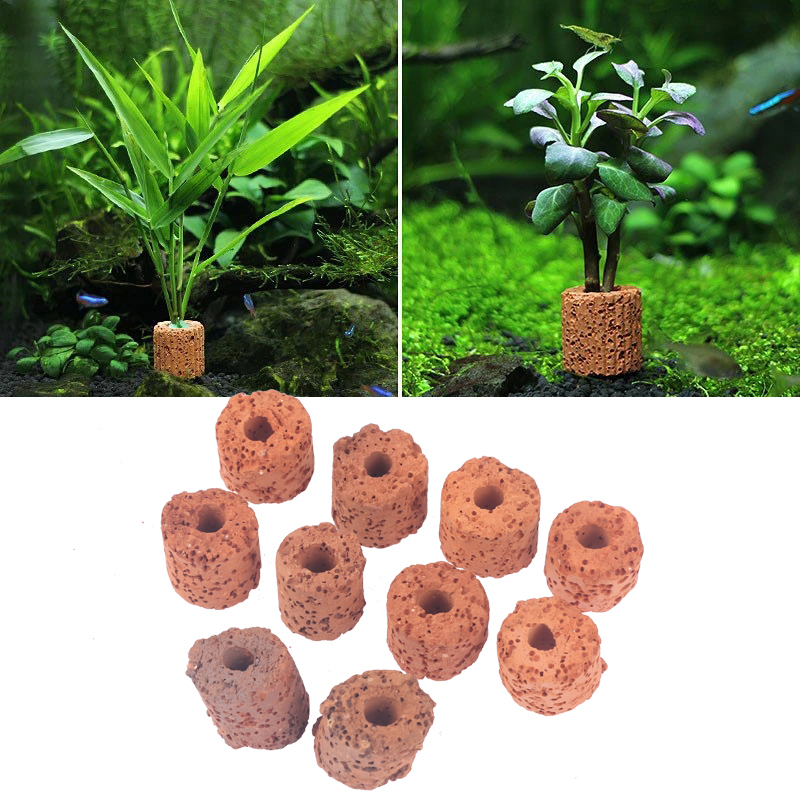 ^10Pcs Plant Ring Aquarium Fix - Planted Aquarium Products 评论和价格
