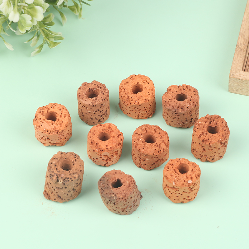 ^10Pcs Plant Ring Aquarium Fix - Planted Aquarium Products 评论和价格
