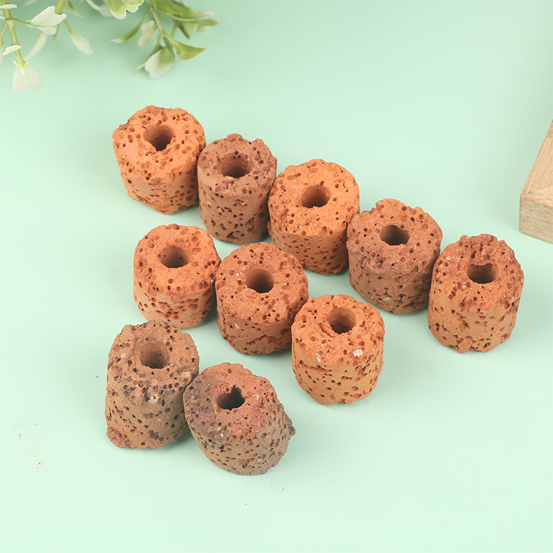 ^10Pcs Plant Ring Aquarium Fix - Planted Aquarium Products 评论和价格