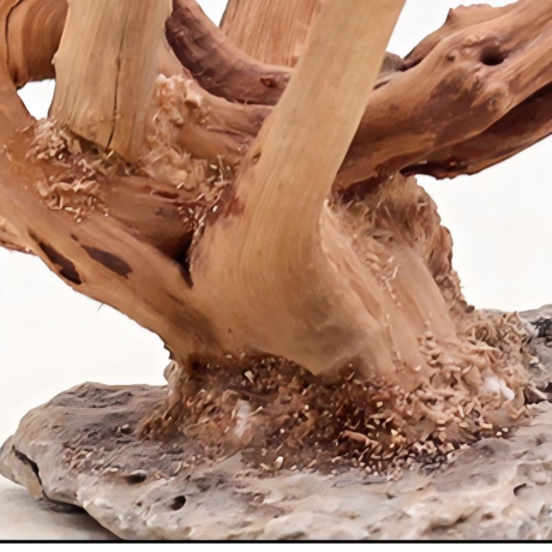 1PC Aquarium Landscaping Wood  - Aquarium Planted Tree 评论和价格
