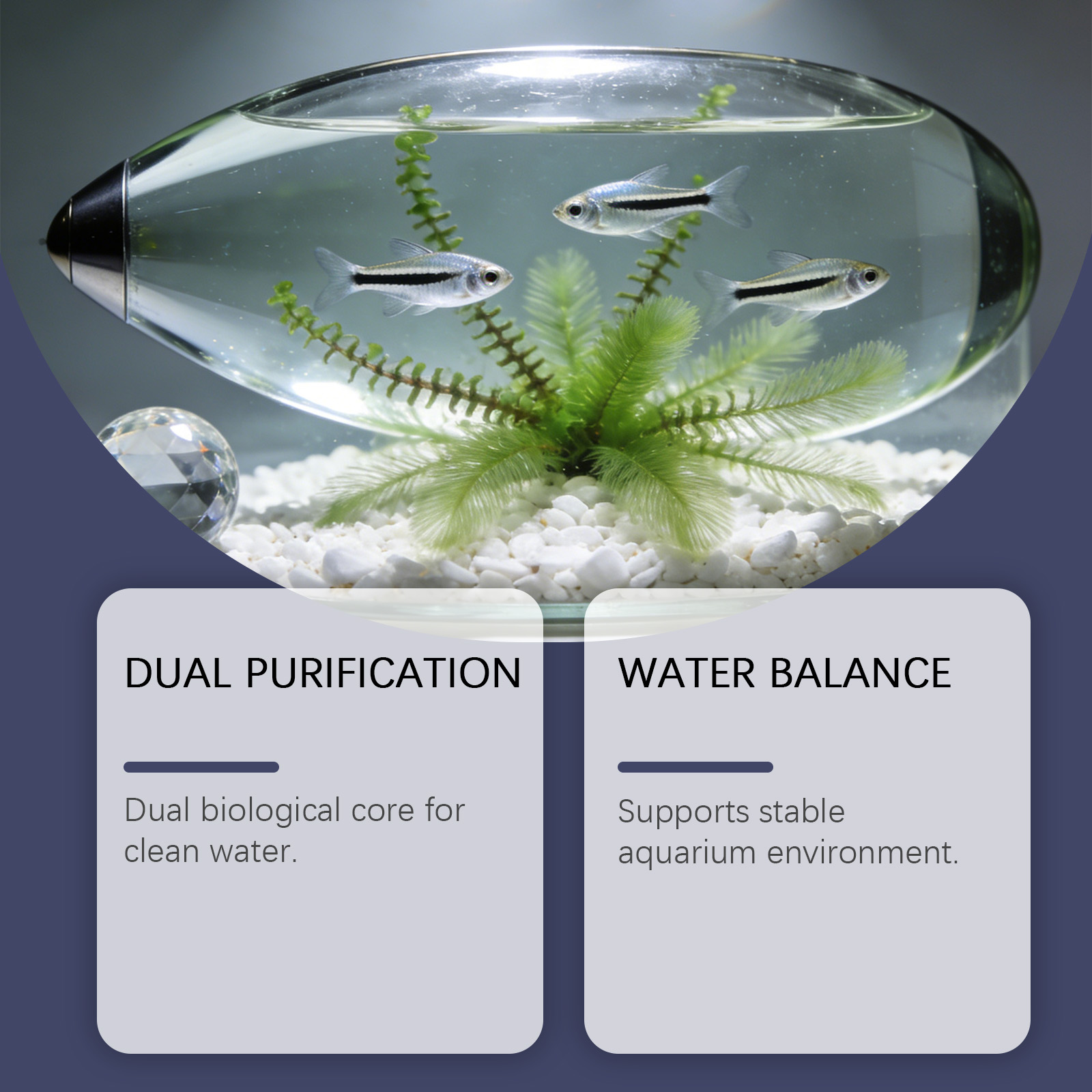 Algae Remover Tablets for Aqua - Planted Aquarium Algae Remover 评论和价格