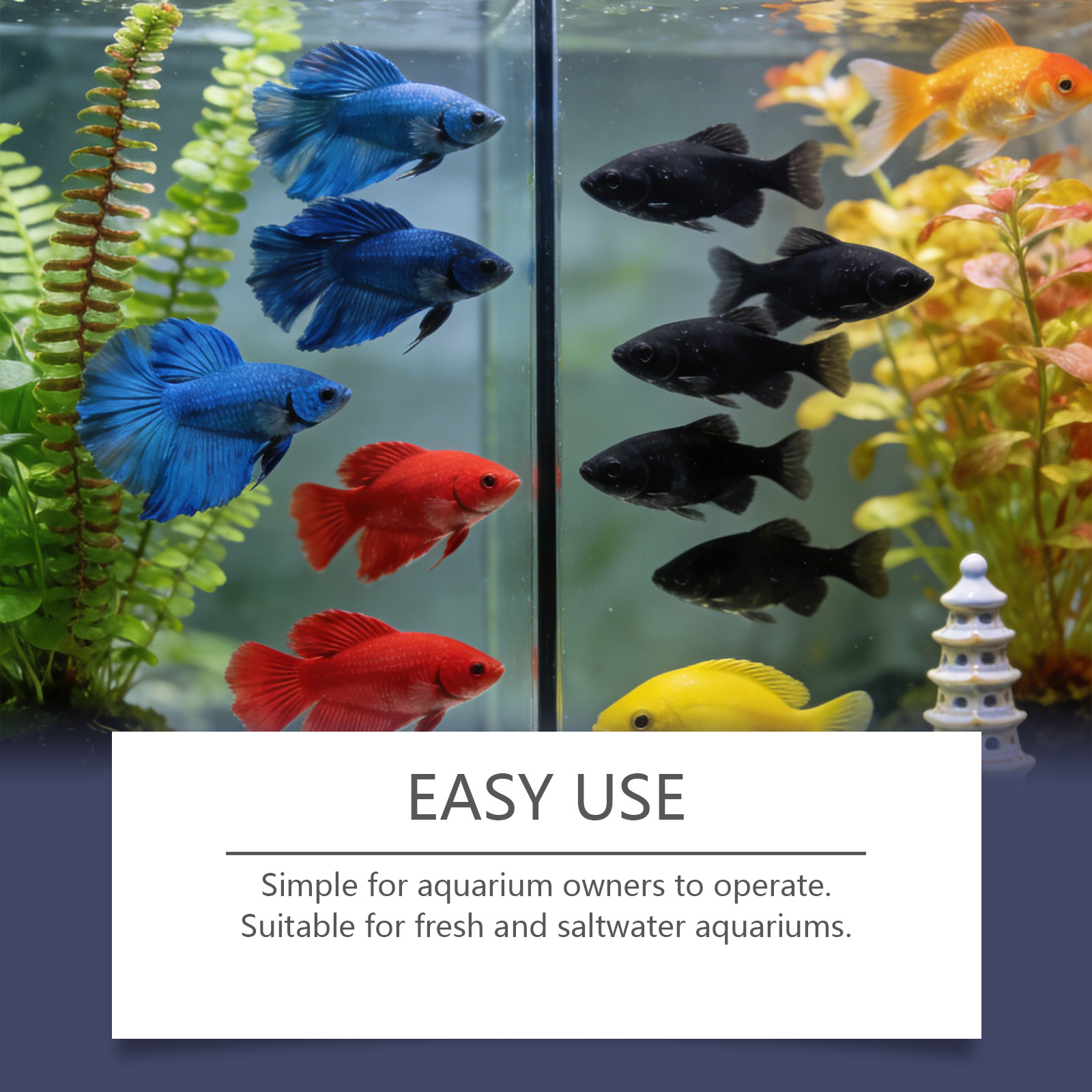 Algae Remover Tablets for Aqua - Planted Aquarium Algae Remover 评论和价格