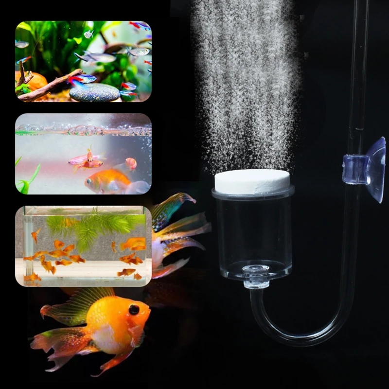 4pcs Set DIY CO2 Diffuser For  - Planted Aquarium Co2 Kit 评论和价格