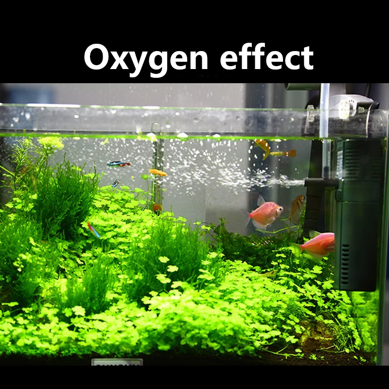 SUNSUN mini nano 111B 311B 611 - Planted Aquarium Products 评论和价格